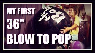 Extremely LOUD BIG BALLOON B2P 36" Qualatex Looner BLOW TO POP While Chewing BUBBLEGUM