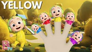 COCOMELON COLOURS Finger Family Nursery Rhymes & Kids Songs