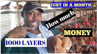 SENTE MEKA ZOSOBOLA OKUFUNA LAYERS 1000 OMWEZI-HOW MUCH MONEY CAN YOU GET FROM 1000 LAYERS A MONTH