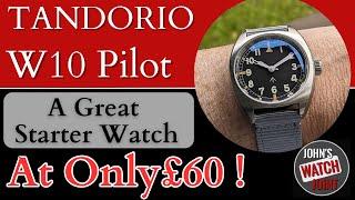 Tandorio W10 Pilot. A Great Budget Starter Watch!