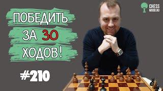 Победить за 30 ходов № 210. Итальянская партия. Спёртый мат международному мастеру