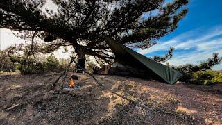 Allein campen im wilden Wald eines ländlichen Dorfes – Campingnahrung aus natürlichen Pflanzen