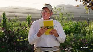 Horticultural Therapy with Nicholas Staddon