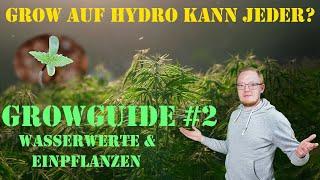 Hydrokultur Growguide #2 - Wasserwerte & Einpflanzen