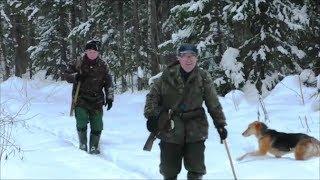 Зимняя охота на зайца-беляка , Говоруша и Свирель вл.Шатров В.А.