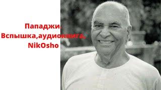 Пападжи. Вспышка. Аудиокнига озвучено NikOsho.Узнай тайну вселенной....