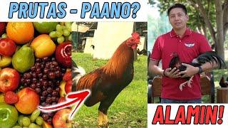 Pointing Tips: Prutas, Paano Gamitin? ALAMIN!
