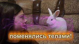 Соня и Ляля поменялись телами! Баку заколдовал их!  Nepeta