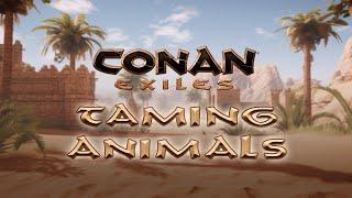 How To Tame Animals in Conan Exiles! #Nitrado Guides