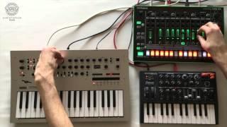 Christopher Kah - Session III with Minilogue + TR-8 + Microbrute