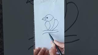 Beautiful and easy bird drawing