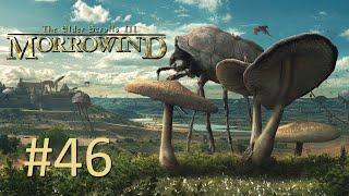 Прохождение The Elder Scrolls III: Morrowind - Часть 46. Эшлендеры и начало Семи Испытаний (Сюжет)