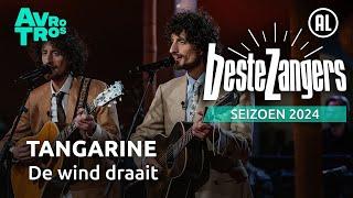 Tangarine - De wind draait | Beste Zangers 2024