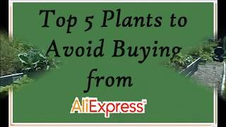 5 Seeds to NOT buy from AliExpress