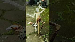 Membakar ogoh ogoh kesukaan bocil #ogohogoh #ogohogohbali #ogohogoh2024 #viral