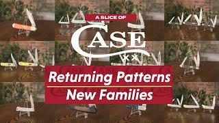 Returning Patterns & New Families | NEW 2024 | A Slice of Case