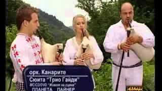 Орк.канарите и трио гайди