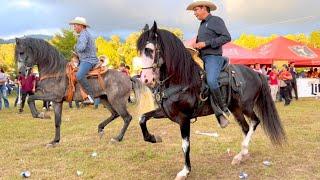 ⭐ CABALLOS BAILADORES EN LA CABALGATA SURUTATO 2022 - 4K P2