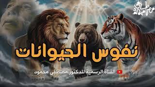 نفوس الحيوانات ... لا يفوتك | من أروع حلقات الدكتور مصطفى محمود رحمه الله