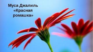 Давлетшина Камила / Муса Джалиль—Красная ромашка /Международный Конкурс чтецов «Джалиловские чтения»