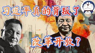 方脸说：中国经济出问题真的是因为习近平背叛了改革开放？为什么我说习近平其实是邓小平改革开放的修补匠？改革开放的本质丨邓小平120周年