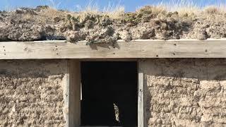 Sod house on the Great Plains