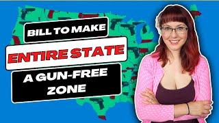 Bill to Make ENTIRE State a Gun-Free Zone