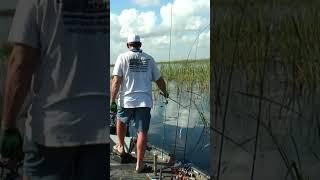 Shallow Water Crappie Fishing