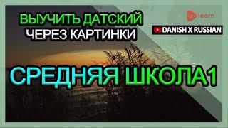 Выучить датский через картинки |датский словарь средняя школа1 | Golearn