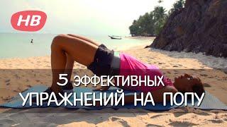 5 самых эффективных Упражнений для Попы. Елена Силка.