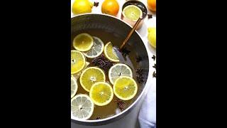 Vodka Ginger Citrus Punch Recipe