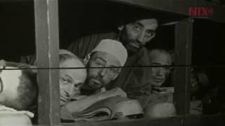 Auschwitz: La fábrica de la muerte