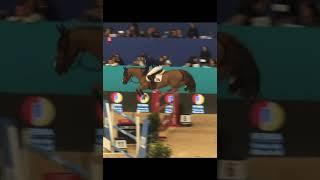 Very clear show jumping