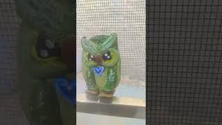 aesthetic diy with mouldit clay #owl #moulditclayart #creative #art #aestheticdiy #aesthetic #green