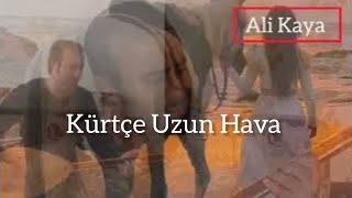 Cihanbeyli Ali Kaya 'dan Müthiş Kürtçe Uzun Hava   Yüksek sesle Dinleyiniz