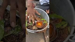 Why is Honey so Thick?