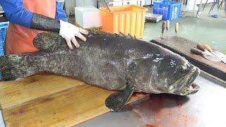 Giant Grouper Fish Cutting Skills  - Taiwanese Street Food