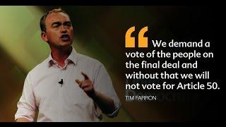 Liberal Democrats fight against a hard Brexit