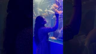 Full Video#Fish #shorts #viralvideo #trending #song #music #pushpa2 #shortvideos #youtubeshorts