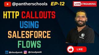 EP12 - How to make HTTP Callouts from Salesforce Flows || #sfdcpanther #pantherschools