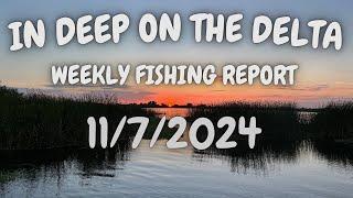 The In Deep On The Weekly Fishing Report For 11/7/2024