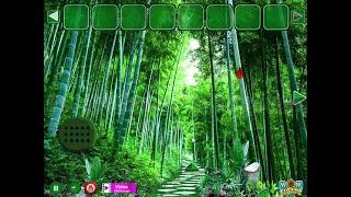 WOW Animals Bamboo Jungle Escape Walkthrough [WOWEscape]