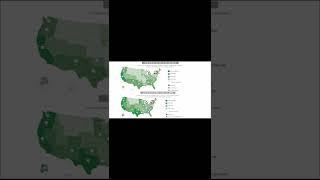 History Short: What State Does not Require Seat Belt Use? #Shorts