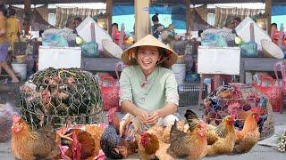 Catching Chickens and Selling Them at the Market – Fresh Chicken Recipes for Delicious Meals