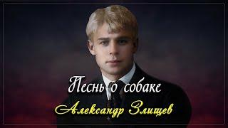 Песнь о собаке - Сергей Есенин (читает Александр Злищев)