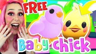 NEW BABY CHICK PET IN ADOPT ME! HOW TO GET THE EXCLUSIVE EASTER EGG! Adopt Me Roblox Egg Hunt 2020