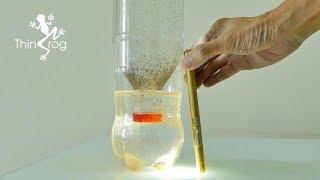 Hatching Brine Shrimp Eggs for Goldfish Fry (Ep.3)