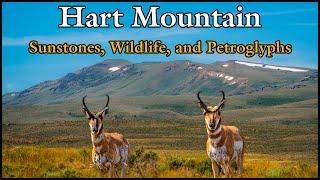 Hart Mountain: Sunstones, Wildlife and Petroglyphs