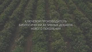 Компания ПАРАФАРМ – ключевой производитель биологически активных добавок