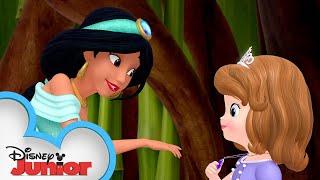 Princess Sofia the First Meets Disney Aladdin's Princess Jasmine  | Sofia the First |@disneyjr